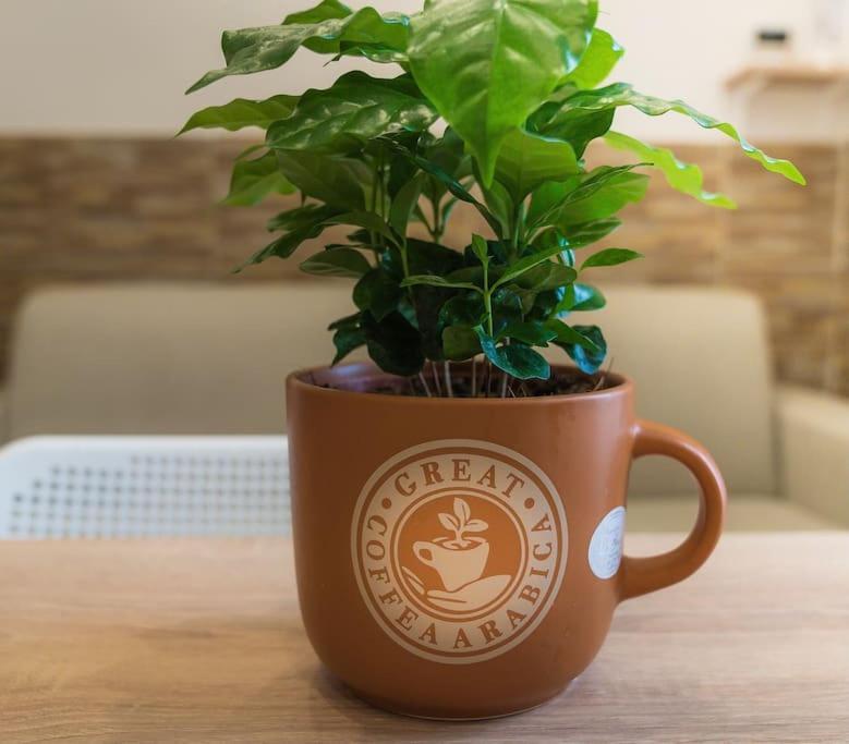 那不勒斯Il Tempo Di Un Caffe公寓 外观 照片